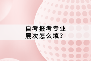 自考報考專業(yè)層次怎么填？