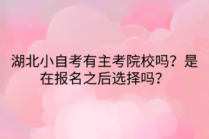 湖北小自考有主考院校嗎？是在報(bào)名之后選擇嗎？