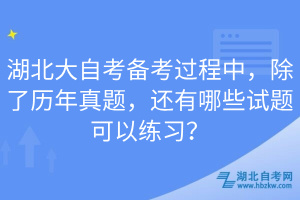 湖北大自考備考過程中，除了歷年真題，還有哪些試題可以練習(xí)？