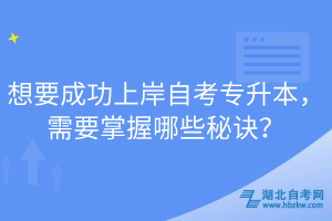 想要成功上岸自考專升本，需要掌握哪些秘訣？