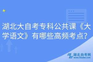 湖北大自考專(zhuān)科公共課《大學(xué)語(yǔ)文》有哪些高頻考點(diǎn)？