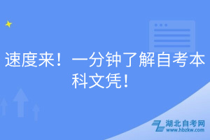 速度來(lái)！一分鐘了解自考本科文憑！