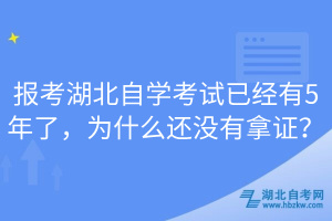 報考湖北自學(xué)考試已經(jīng)有5年了，為什么還沒有拿證？