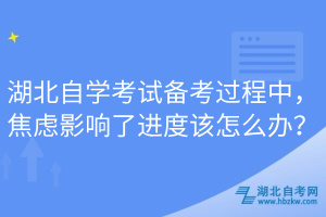 湖北自學(xué)考試備考過程中，焦慮影響了進(jìn)度該怎么辦？