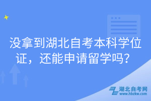 沒拿到湖北自考本科學(xué)位證，還能申請留學(xué)嗎？