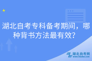 湖北自考專科備考期間，哪種背書方法最有效？