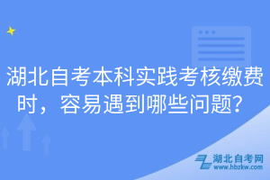 湖北自考本科實踐考核繳費時，容易遇到哪些問題？