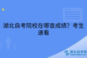 湖北自考院校在哪查成績？考生速看
