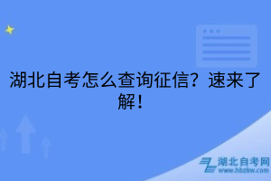 湖北自考怎么查詢征信？速來了解！