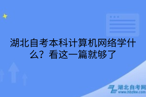 湖北自考本科計算機網(wǎng)絡(luò)學什么？看這一篇就夠了