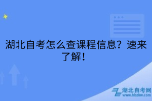 湖北自考怎么查課程信息？速來了解！