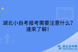 湖北小自考報考需要注意什么？速來了解！