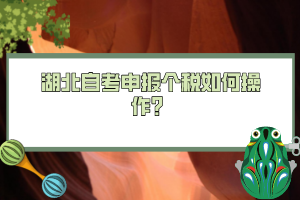 湖北自考申報(bào)個(gè)稅如何操作？