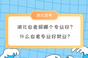 湖北自考報哪個專業(yè)好？什么自考專業(yè)好就業(yè)？