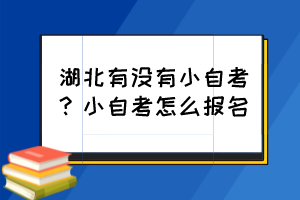 湖北有沒有小自考？小自考怎么報(bào)名？