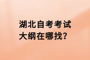 湖北自考考試大綱在哪找？