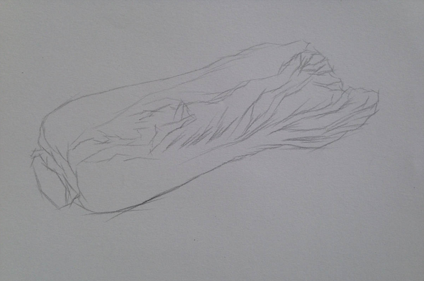 素描入門:單個物體白菜的素描畫法教程(2)