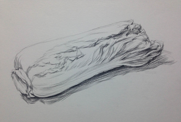 素描入門:單個物體白菜的素描畫法教程(3)
