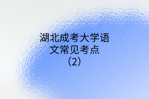 湖北成考大學語文常見考點（2）