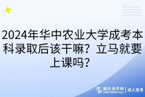 2024年華中農(nóng)業(yè)大學(xué)成考本科錄取后該干嘛？立馬就要上課嗎？