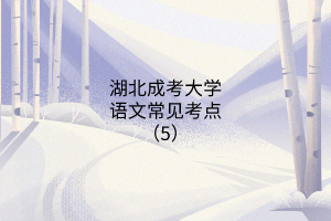 湖北成考大學(xué)語(yǔ)文常見考點(diǎn)（5）