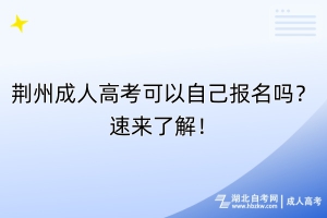 荊州成人高考可以自己報名嗎？速來了解！