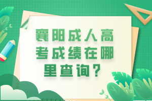 襄陽成人高考成績在哪里查詢？