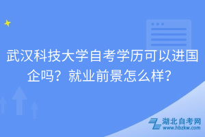 武漢科技大學(xué)自考學(xué)歷可以進(jìn)國企嗎？就業(yè)前景怎么樣？