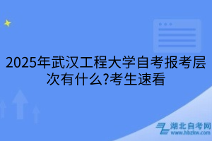 2025年武漢工程大學自考報考層次有什么?考生速看