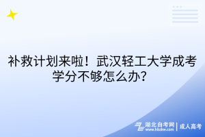 補(bǔ)救計劃來啦！武漢輕工大學(xué)成考學(xué)分不夠怎么辦？