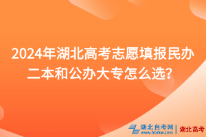 2024年湖北高考志愿填報(bào)民辦二本和公辦大專怎么選？