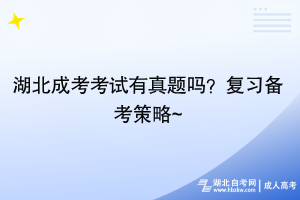 湖北成考考試有真題嗎？復(fù)習(xí)備考策略~