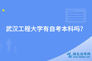 武漢工程大學(xué)有自考本科嗎？