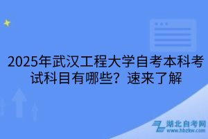 2025年武漢工程大學自考本科考試科目有哪些？速來了解