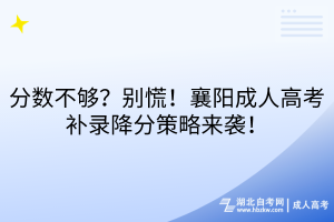 分數(shù)不夠？別慌！襄陽成人高考補錄降分策略來襲！