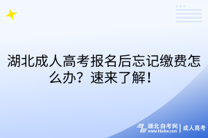湖北成人高考報(bào)名后忘記繳費(fèi)怎么辦？速來(lái)了解！