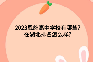 2023恩施高中學(xué)校有哪些？在湖北排名怎么樣？