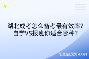 湖北成考怎么備考最有效率？自學VS報班你適合哪種？