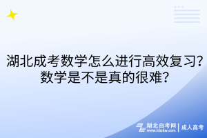 湖北成考數(shù)學怎么進行高效復習？數(shù)學是不是真的很難？