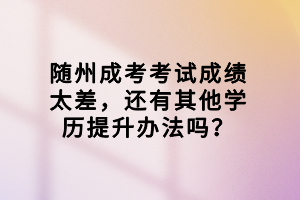 隨州成考考試成績(jī)太差，還有其他學(xué)歷提升辦法嗎？