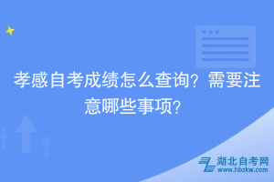 孝感自考成績怎么查詢？需要注意哪些事項？