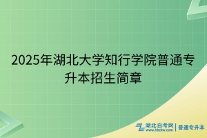 2025年湖北大學(xué)知行學(xué)院普通專(zhuān)升本招生簡(jiǎn)章