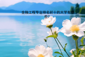 金融工程專業(yè)排名前十的大學(xué)有哪些？