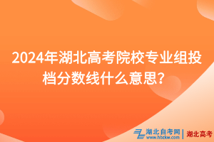 2024年湖北高考院校專業(yè)組投檔分?jǐn)?shù)線什么意思？