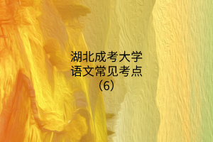 湖北成考大學(xué)語(yǔ)文常見考點(diǎn)（6）