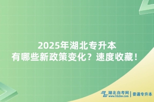 2025年湖北專升本有哪些新政策變化？速度收藏！