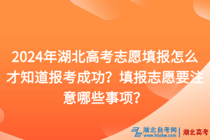 2024年湖北高考志愿填報(bào)怎么才知道報(bào)考成功？填報(bào)志愿要注意哪些事項(xiàng)？