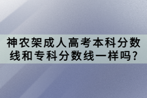 神農(nóng)架成人高考本科分數(shù)線和?？品謹?shù)線一樣嗎?