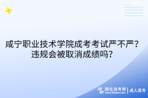 咸寧職業(yè)技術(shù)學(xué)院成考考試嚴(yán)不嚴(yán)？違規(guī)會(huì)被取消成績(jī)嗎？