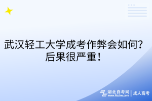 武漢輕工大學(xué)成考作弊會如何？后果很嚴(yán)重！